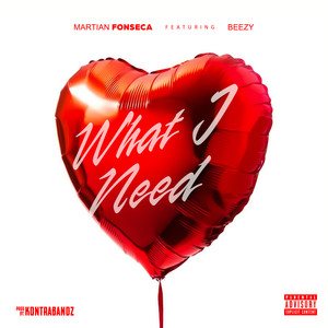 What I Need (Explicit)