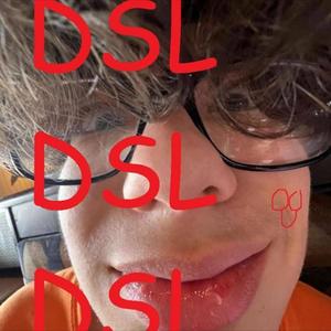 dsl (feat. lil hamburger) (Explicit)