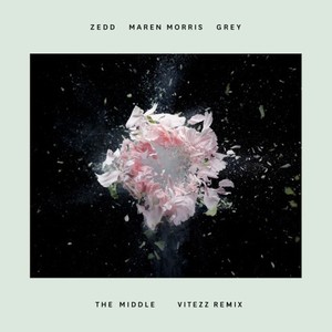 The Middle (Vitezz Remix)