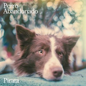 Perro Abandonado