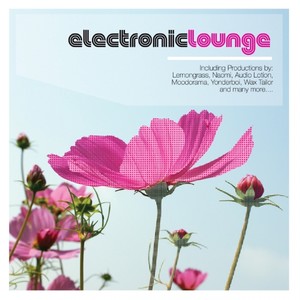 Electronic Lounge