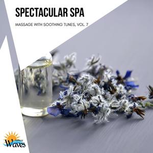 Spectacular Spa - Massage with Soothing Tunes, Vol. 7