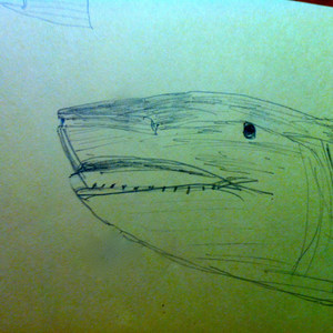 Kona Breeze Day - Attacked by a Tiger Shark Near Maui, 11.30.12(feat. Cal Scott)