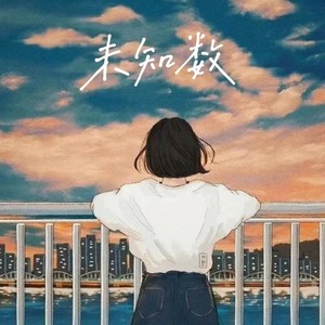 未知数封面