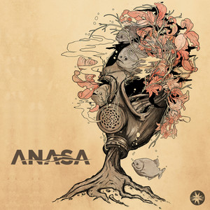 Anasa