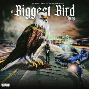 The Biggest Bird Flying (Explicit)