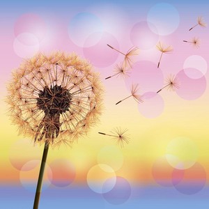 我们一起打疫苗