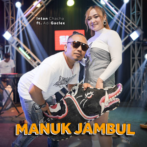 Manuk Jambul