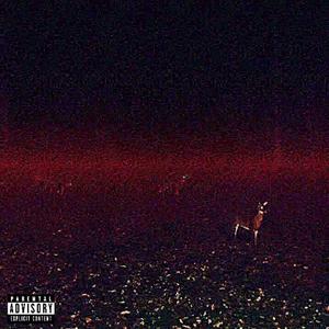 Stupid Teen (feat. Duffy333 & gavthadon)