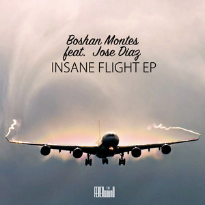 Insane Flight (Original Mix)