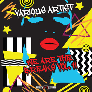 We Are The Breaks Vol 11