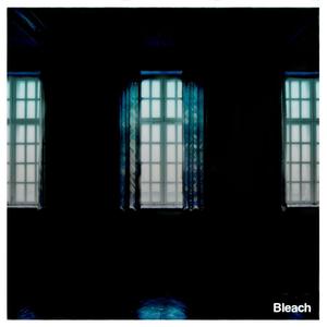 Bleach (Explicit)
