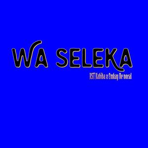 Wa Seleka (Emkay DE Vocal (Radio Edit)