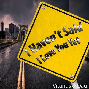 I Haven't Said I Love You Yet (It's Not About You)