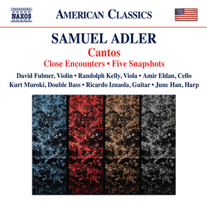 5 Snapshots - V. Allegro con fuoco