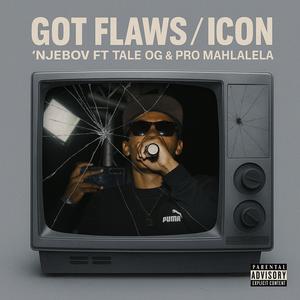 Got Flaws/Icon (feat. Tale OG & Pro Mahlalela) (Explicit)