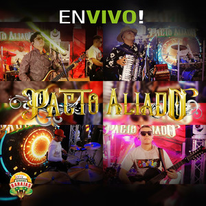 Huapangos Mix (En Vivo)