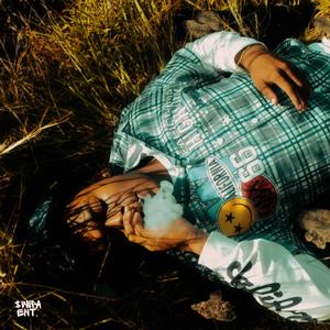 CA$h APP (feat. PTB DAIE) (Explicit)