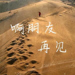 啊朋友再见 (DJ散人版)