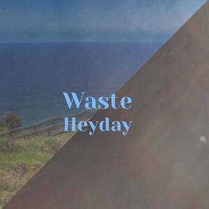 Waste Heyday