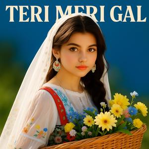Teri meri gal