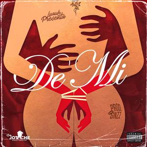 DeMi (feat. Luauh) [Explicit]