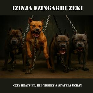 Izinja ezingakhuzeki