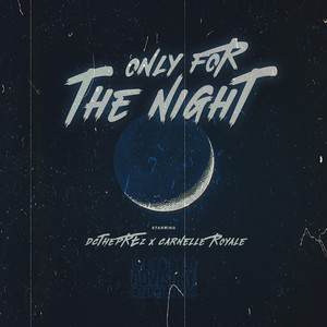 Only for the Night (Explicit)