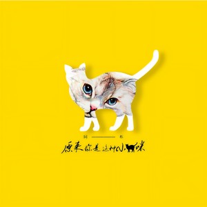 原来你是这种小猫咪