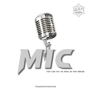 MIC