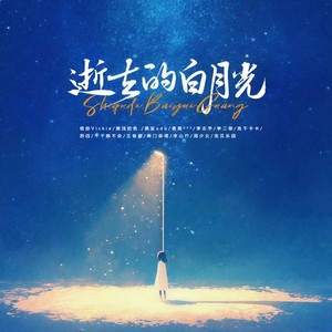 逝去的白月光