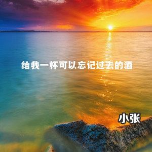 给我一杯可以忘记过去的酒 (小张 Mix)