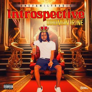 Introspective (Explicit)