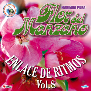 Enlace de Ritmos Vol. 8. Música de Guatemala para los Latinos