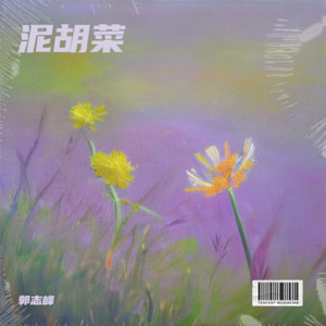 泥胡菜 (吉他版)