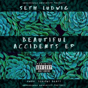 Underdawgz University Presents Seth Ludwig Beautiful Accidents Vol. 2 (Explicit)