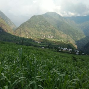 Trisandhiya Maa Chali Aao Bula Rahe Hai Sabhi