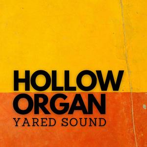 Hollow Organ