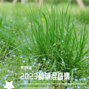 无忧的炊烟 (女声)