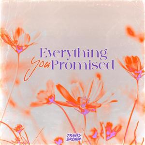 Everything You Promised