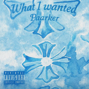 What I wanted (Explicit)