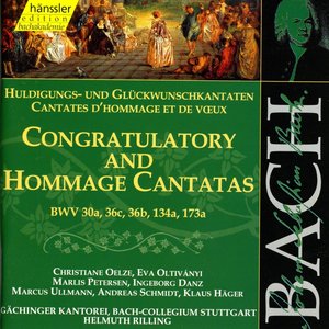 Bach: Congratulatory & Hommage Cantatas