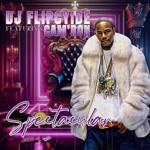 Spectacular (feat. Cam'ron)