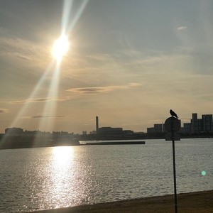 光の影 (feat. MOHARU)