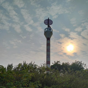 無雅獨守楓城 - 平凡日子里的挣扎