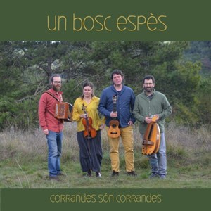 Un bosc espès