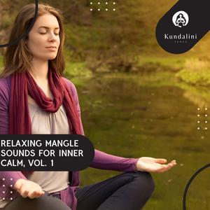 Soothing Sarangi Meditational (Original Mix)