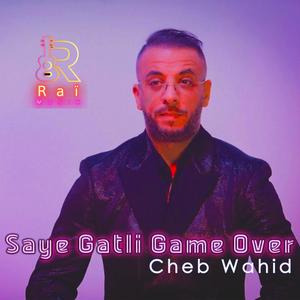 Saye Gatli Game Over