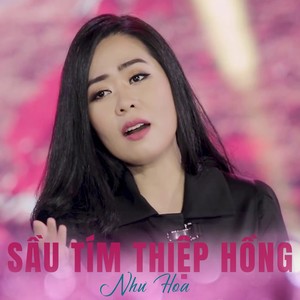 Sầu tím thiệp hồng