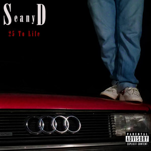 25 to Life (Explicit)